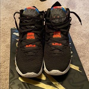 LeBron 17 James Gang